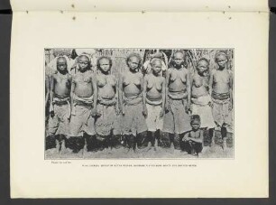 Plate LXXXVIII.