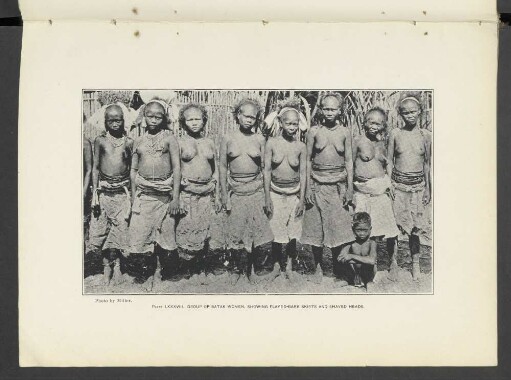 Plate LXXXVIII.