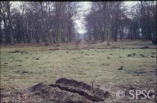 Potsdam, Park Sacrow, Sondierungsgrabung nach dem Wegeverlauf im Rondell beim Schloss.