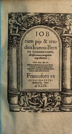 Job : Cum piis & eruditis Joannis Brentii Commentariis