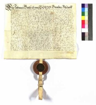 Bischof Johann Gottfried an alle Grafen Hohenlohe verleiht Schillingsfürst, Bartenstein, Bretzfeld, Herrentierbach.