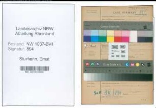 Entnazifizierung Ernst Sturhann , geb. 13.06.1906 (Kaufmann)