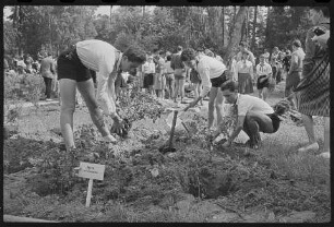 1. Internationales Kindersommerlager am Werbellinsee, Bild 2, 1960. SW-Foto © Kurt Schwarz.