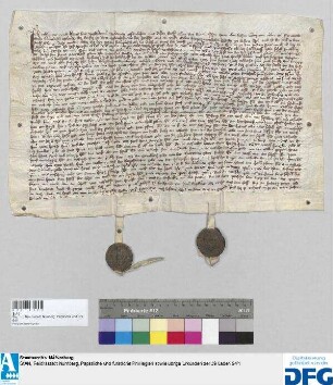 Conrad und Hans die Waldstromer urkunden über eine Abteilung, welche beide des Dorfes Gostenhof halber mit einander gehalten haben.