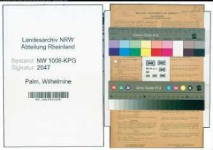 Entnazifizierung Wilhelmine Palm , geb. 25.09.1901 (Postassistentin)