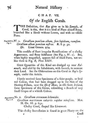 Chap. VII. Of the English Corals
