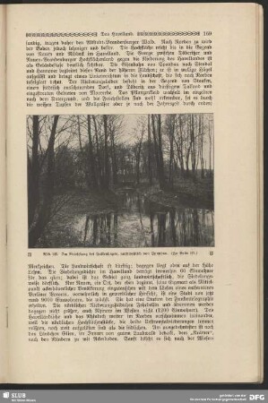 Im Brieselang bei Falkenhagen, nordwestlich von Spandau