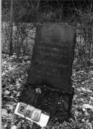 Grabstein 239
