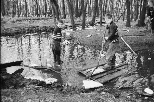 Zwei Jungen im Wald
