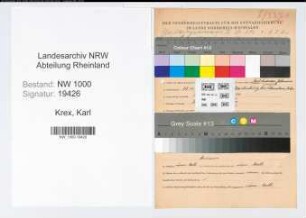 Entnazifizierung Karl Krex, geb. 29.11.1899 (Lehrer)