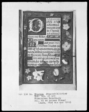 Flämisches Gebetbuch mit Kalender — Initiale D(eus) und Bordüre, Folio 83recto