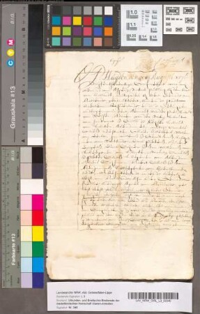 Notarieele renuntiatie, op bevel vanwege Zijn Excellentie van Brederode, door de gerechten, ressorteerende onder de heerlijkheid van Brederode, van het proces voor den den Hoogen Raad tegen den Baljuw van Brederode, 13 Augustus 1675. Notarieel gewaarmerkt afschrift, 17 d. a. v. Afschrift van voormeld bevel.