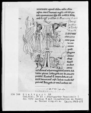 Stuttgarter Passionale — Pars hiemalis (erster Band) — Initiale T (empore illo), darin Martyrium der heiligen Thekla, Folio 157verso