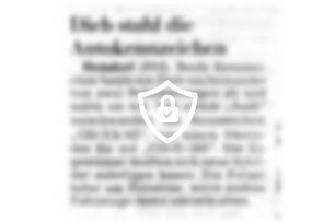 Dieb stahl die Autokennzeichen