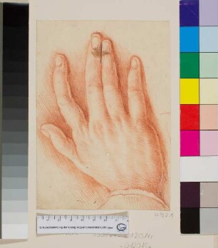 Studie einer rechten Hand