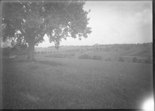 Ansicht der Landschaft neben der Rennstrecke Solitude vom Juli 1927