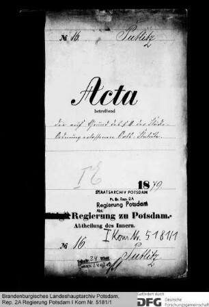 Ortsstatuten auf Grund des § 11 der Städteordnung in Putlitz