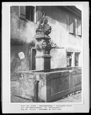 Brunnen mit Putto auf einem Fisch