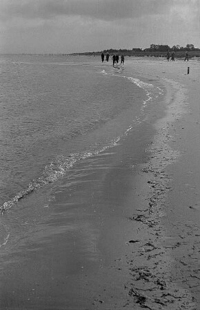Prerower Strand