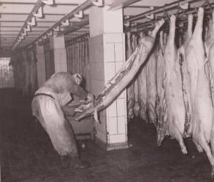 Entspecken von Schweinehälften : Dresden. VEB Vereinigte Fleisch- und Wurstwerke. Entspecken von Schweinehälften