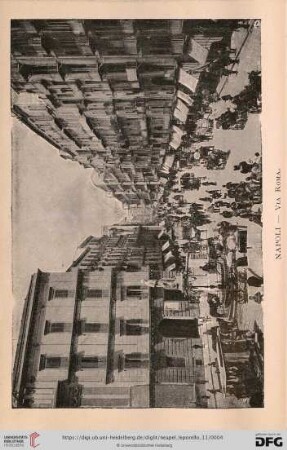 Napoli – Via Roma. – Rue de Rome. – Via Roma. – Roma-Strasse.