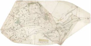 Baademer Herrschaft Waldungen und Forst (Rückseite)