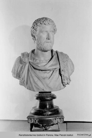 Kaiser Antoninus Pius, Büste