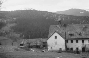 Großer und Kleiner Arber : Das Dorf Ebenhof bei Lohberg mit dem Großen und Kleinen Arber im Hintergrund
