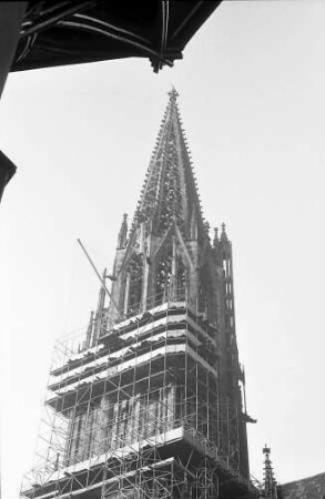 Freiburg: Münsterturm im Gerüst, von Südosten