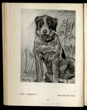 Kriegshund Max / karl Widmann