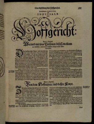 Das siebende Concilium, Ist Judiciale Oder Hoffgericht.