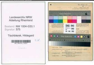 Entnazifizierung Hildegard Tischbierek , geb. 08.07.1901 (Studienassessorin)