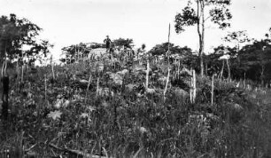 Trockenfeld der Li (Sammlung Hans Stübel - 2. Forschungsreise durch Hainan 1932)