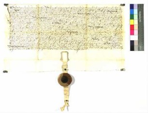 Herdegen von Hürnheim zu Wöllstein verleiht der Margretha Schneiderin zu Abtsgmünd (=Abhsgemindt) ein dortiges Gut an der "Rötte" zu Lehen.