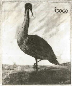 ICOCO Reiher (Ardea brasliliensis)