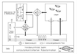 Herdenumtrieb beim computerkontrollierten Robotermelken