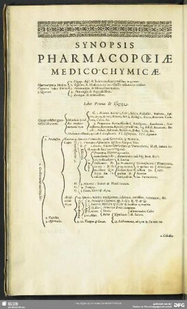 Synopsis Pharmacopoeiae Medico-Chymicae