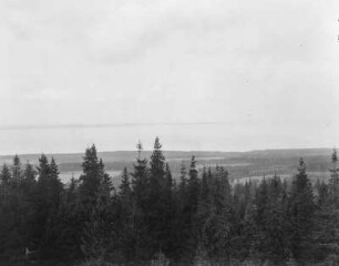 Landschaft : Blick vom Kinnekulle auf eine bewaldete Landschaft