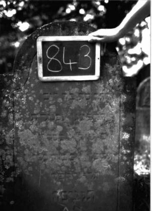 Grabstein 843 (Index: 100102925) Material: Sandstein Zustand: leicht angewittert, stark bewachsen Maße HxBxT: 112x60x7 cm Beschreibung: Stele, eingezogener Rundbogenabschluss, Schriftfeld durch umlaufende Rille abgeteilt, mit Konvexbogenabschluss: Grabstein 843 (Detailaufnahme)