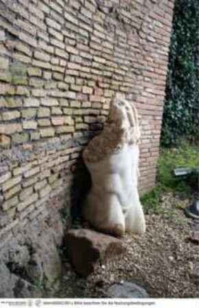 Männliches Torso-Fragment (Herkules?)