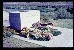 Grenze b. Alt-Schönow 14.8.66.