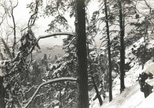 Sächsische Schweiz. Schrammtorwächter. Ansicht von der Aussicht