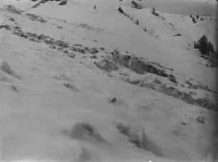 Lawine : Abgegangene Lawine am Fellhorn (2038m)