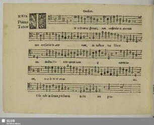 XXII. Gombert, Nicolas: In te Domine speravi