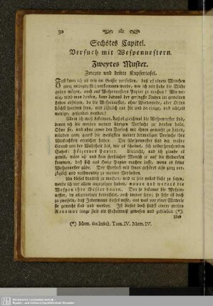 Sechstes Kapitel. Versuch mit Wespennestern. Zweites Muster.