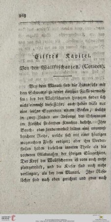 Eilftes Kapitel
