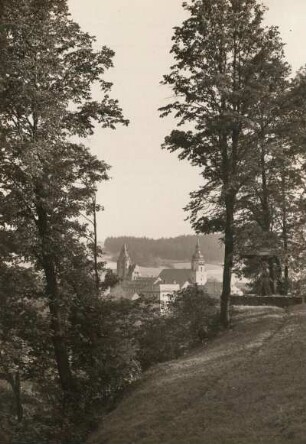 Schwarzenberg. Blick vom Totenstein auf Schloss und Kirche