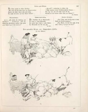 "Der geneckte Stier, oder: Ungeahnte Hilfe"