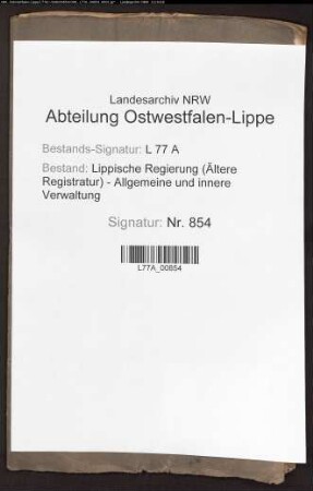 Berichte und Strafsachen des Gogerichts im Amt Sternberg