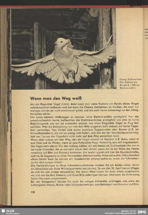 Wenn man den Weg weiß